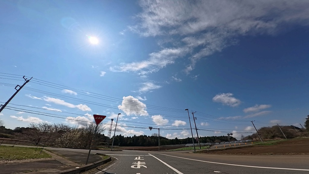 茨城県 メロンロード